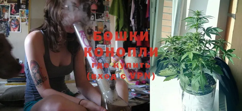 Канабис White Widow  гидра ONION  Егорьевск 